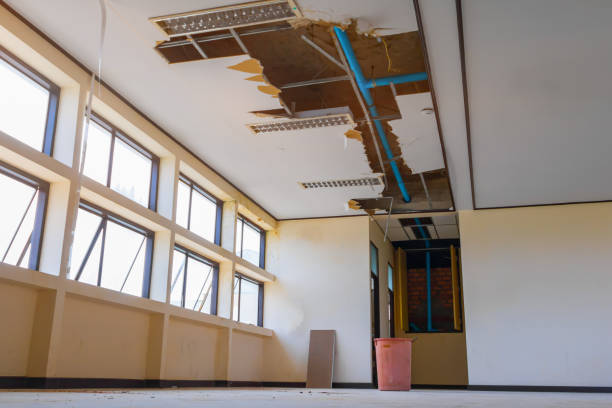 Best Water damage restoration near me  in Upper Montclair, NJ