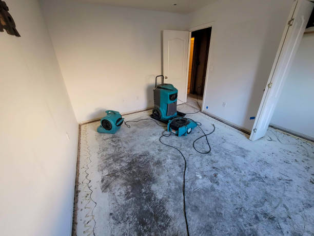 Carpet water damage restoration in Upper Montclair, NJ