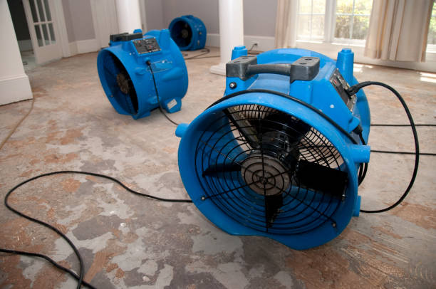Best Flood restoration services  in Upper Montclair, NJ